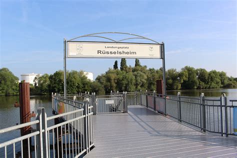 Lidl Rüsselsheim (Main) Prospekt .